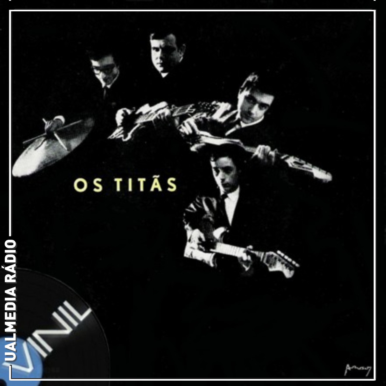 Vinil