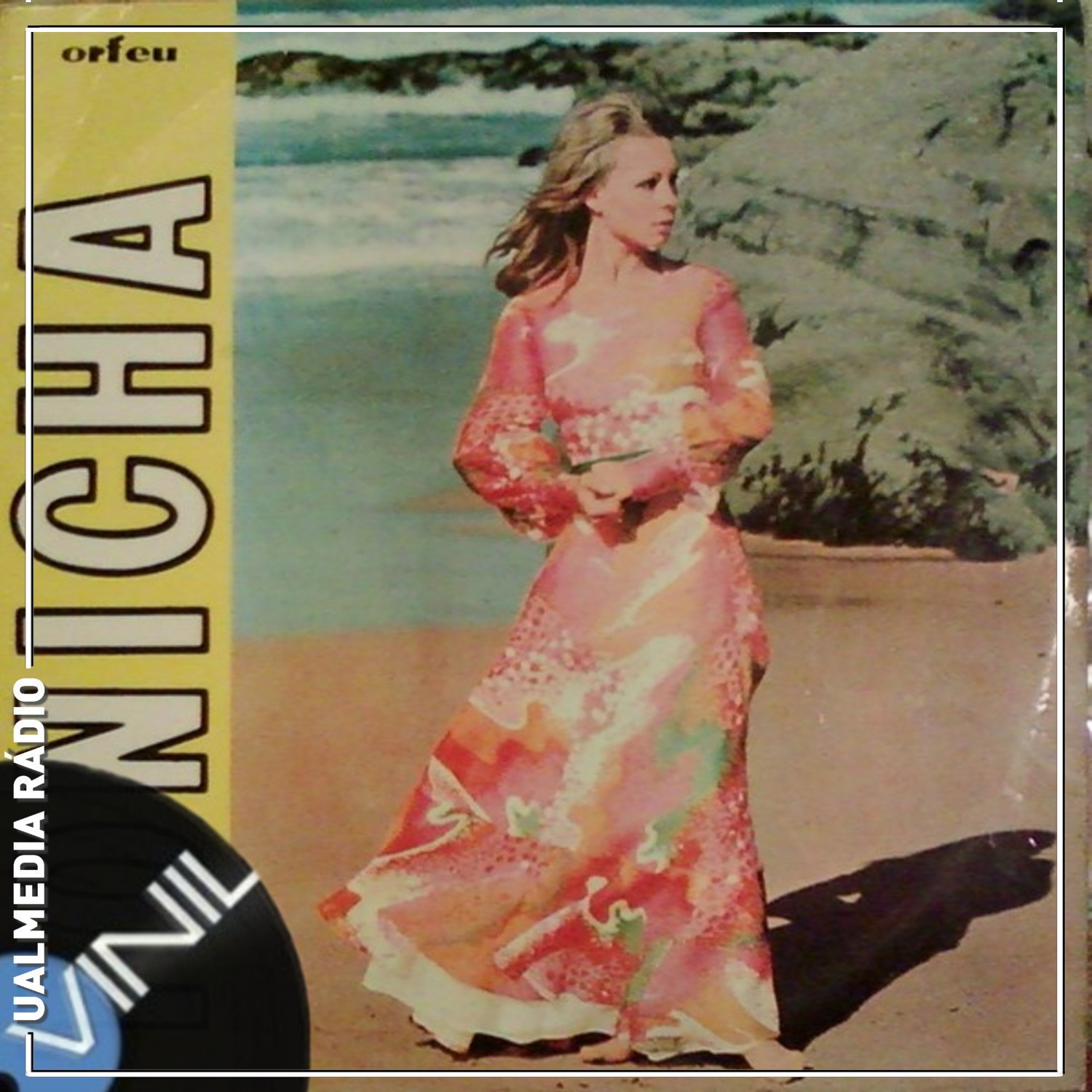 Vinil