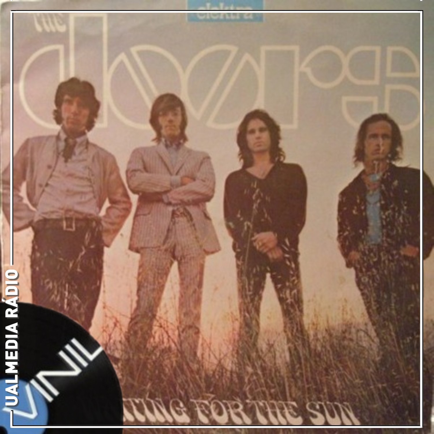 Vinil