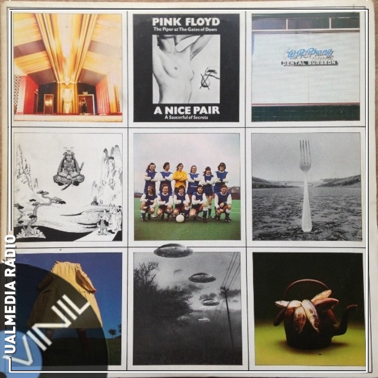 Vinil