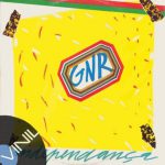 Vinil: GNR – Agente único