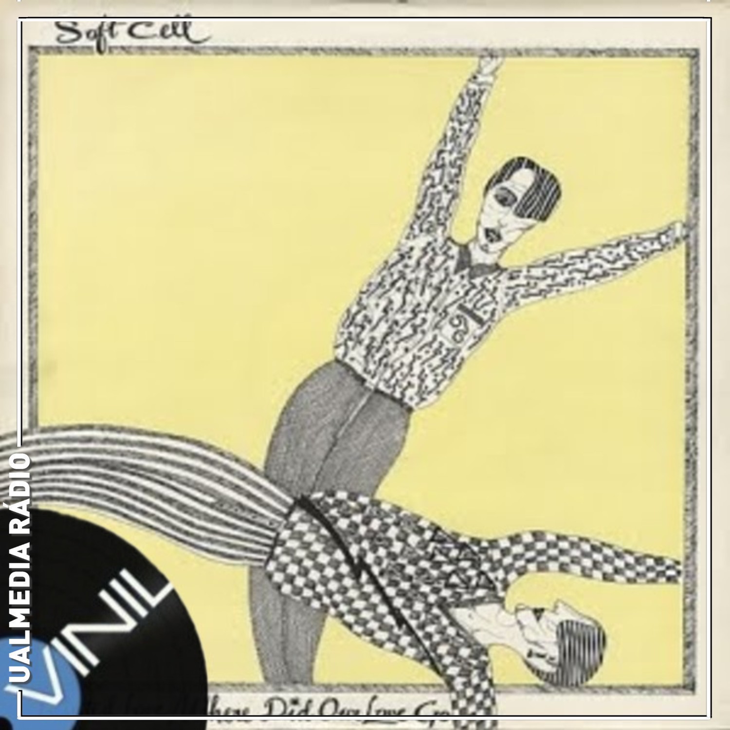 Vinil