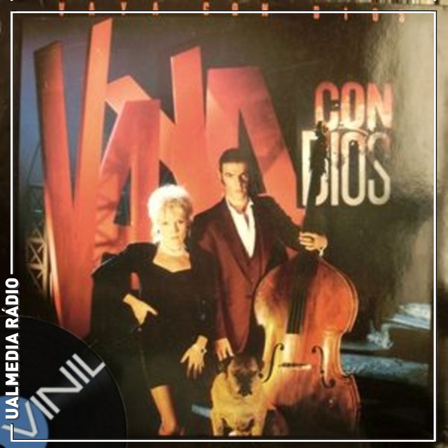Vinil