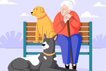 Cães que cuidam: Os benefícios da energia canina num lar de idosos