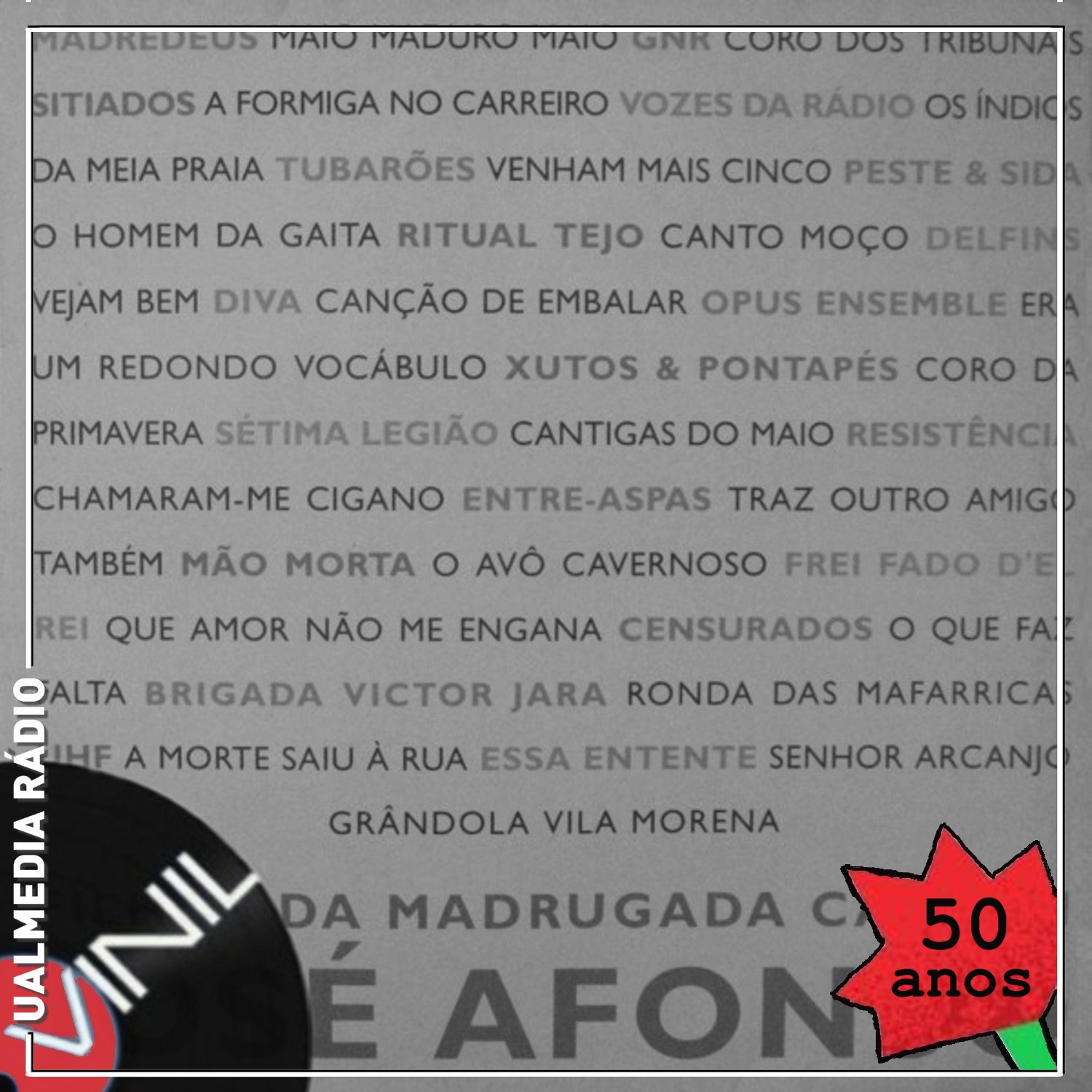 Vinil