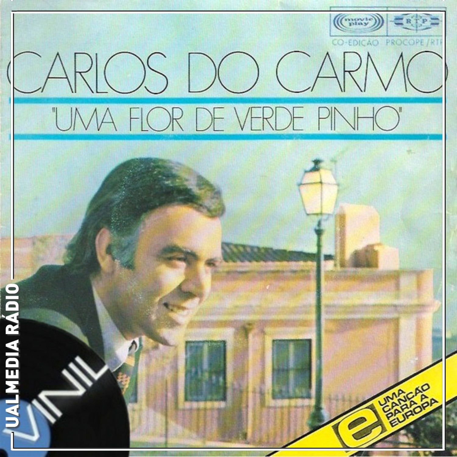 Vinil