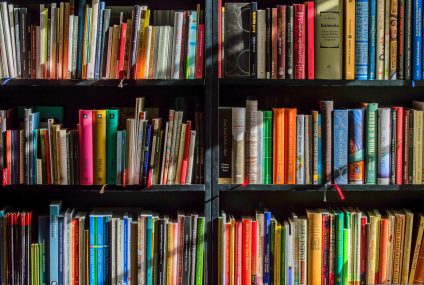 Da ideia à estante. Os bastidores do mercado literário português